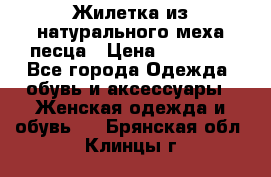 Жилетка из натурального меха песца › Цена ­ 18 000 - Все города Одежда, обувь и аксессуары » Женская одежда и обувь   . Брянская обл.,Клинцы г.